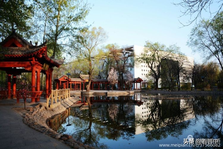 山西农大美丽的校园,山西农大校园风光