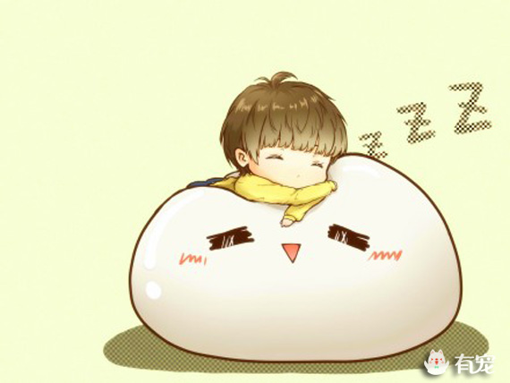 做顿汤圆与狗子吃,元宵君,我要和你谈一场不分手的恋爱~