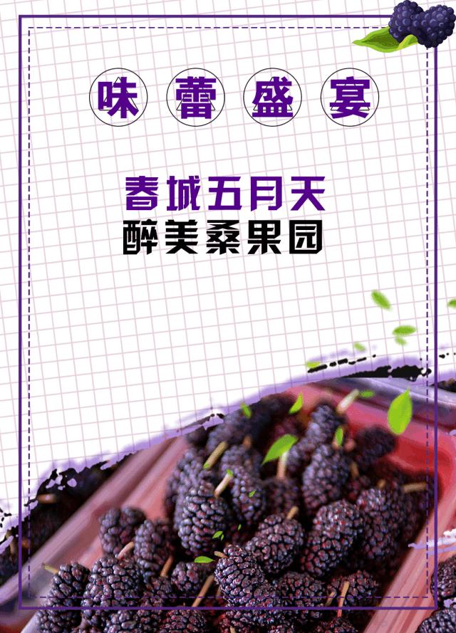 春城*月天五**，醉美桑果园