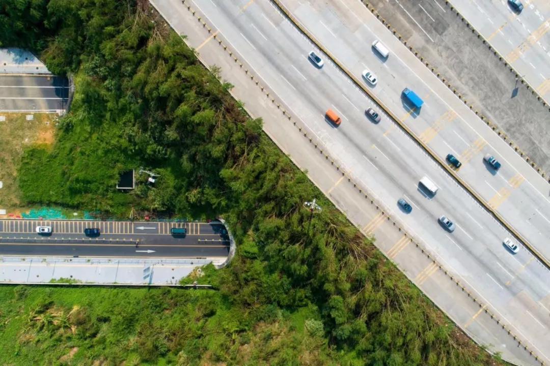 你好，我叫龙岗！欢迎你回来