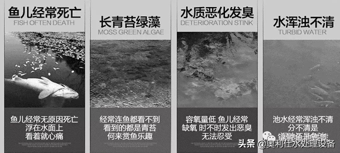 锦鲤鱼池过滤仓建造过程视频,锦鲤鱼池最好的过滤方式