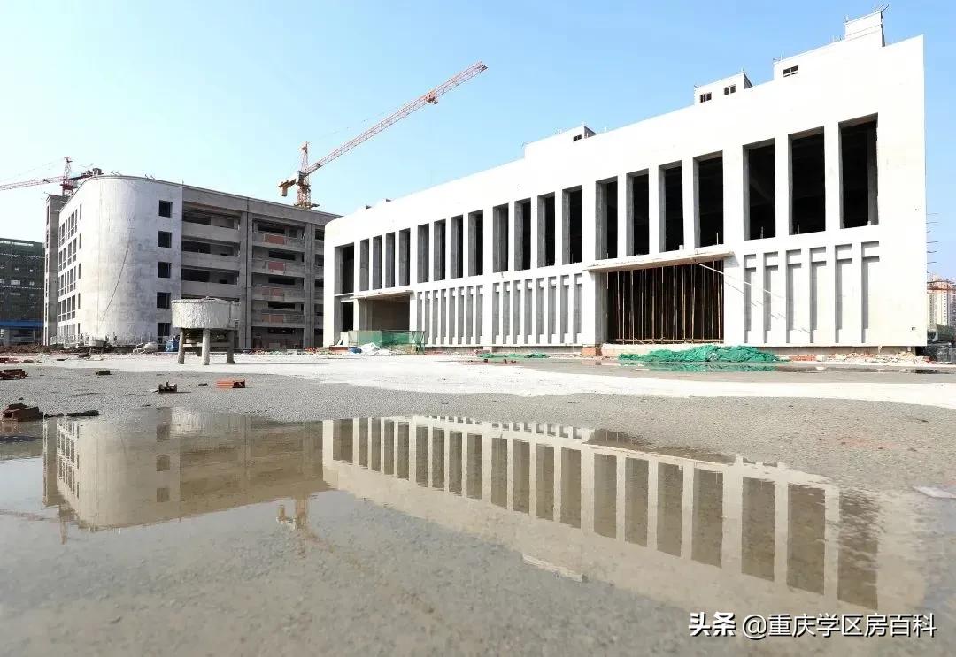 沙小、树人、七中!来看沙坪坝如何布局教育资源