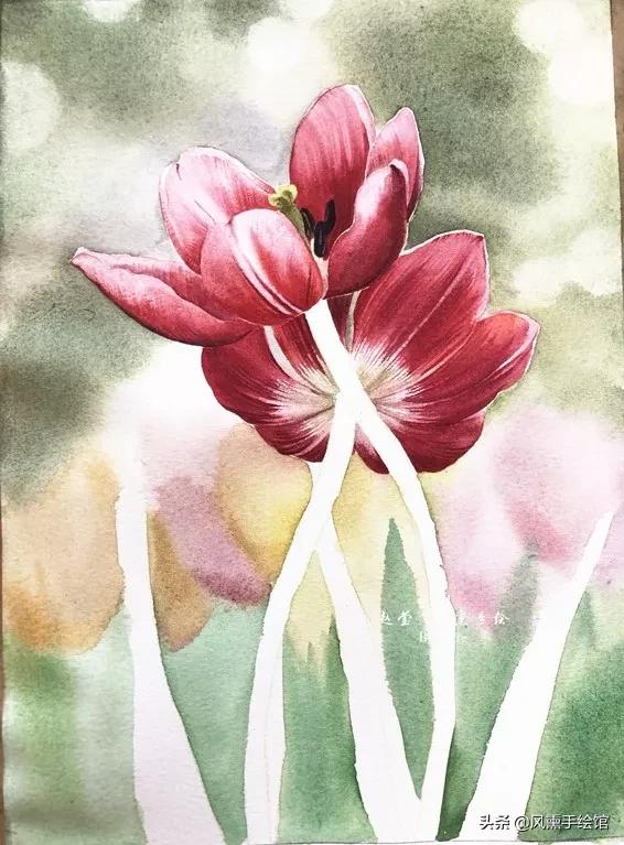 怎么用水彩笔画郁金香教程,粉色水彩郁金香怎么画图片