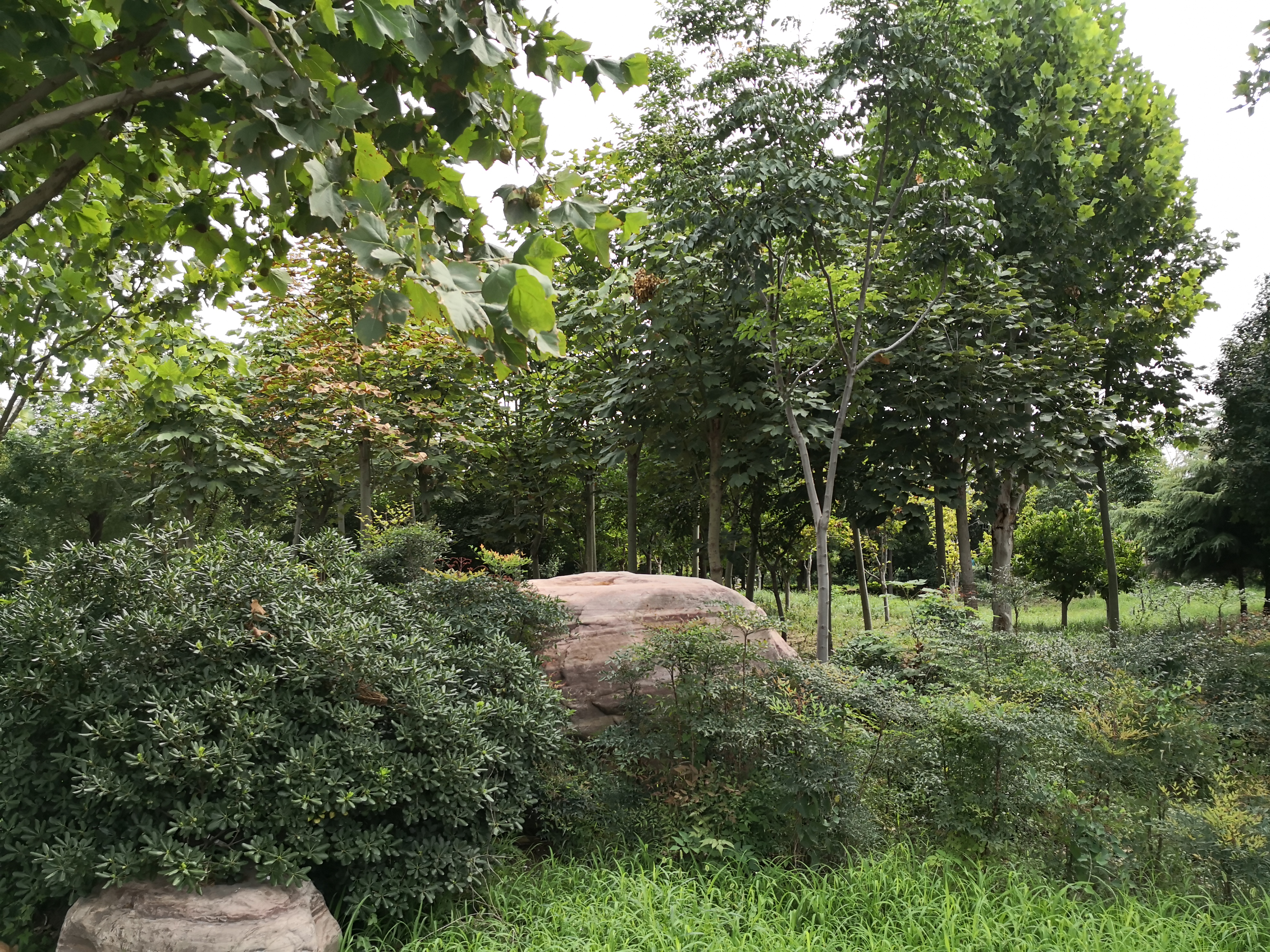 郑州北三环国基路房价,北三环以北国基路房价多少