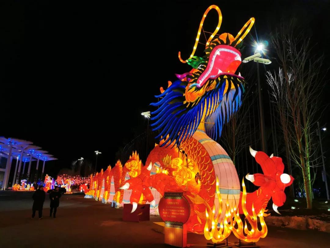 70000㎡！北京最美灯海就在这里了！万盏华灯绽放，开启一年好彩头~