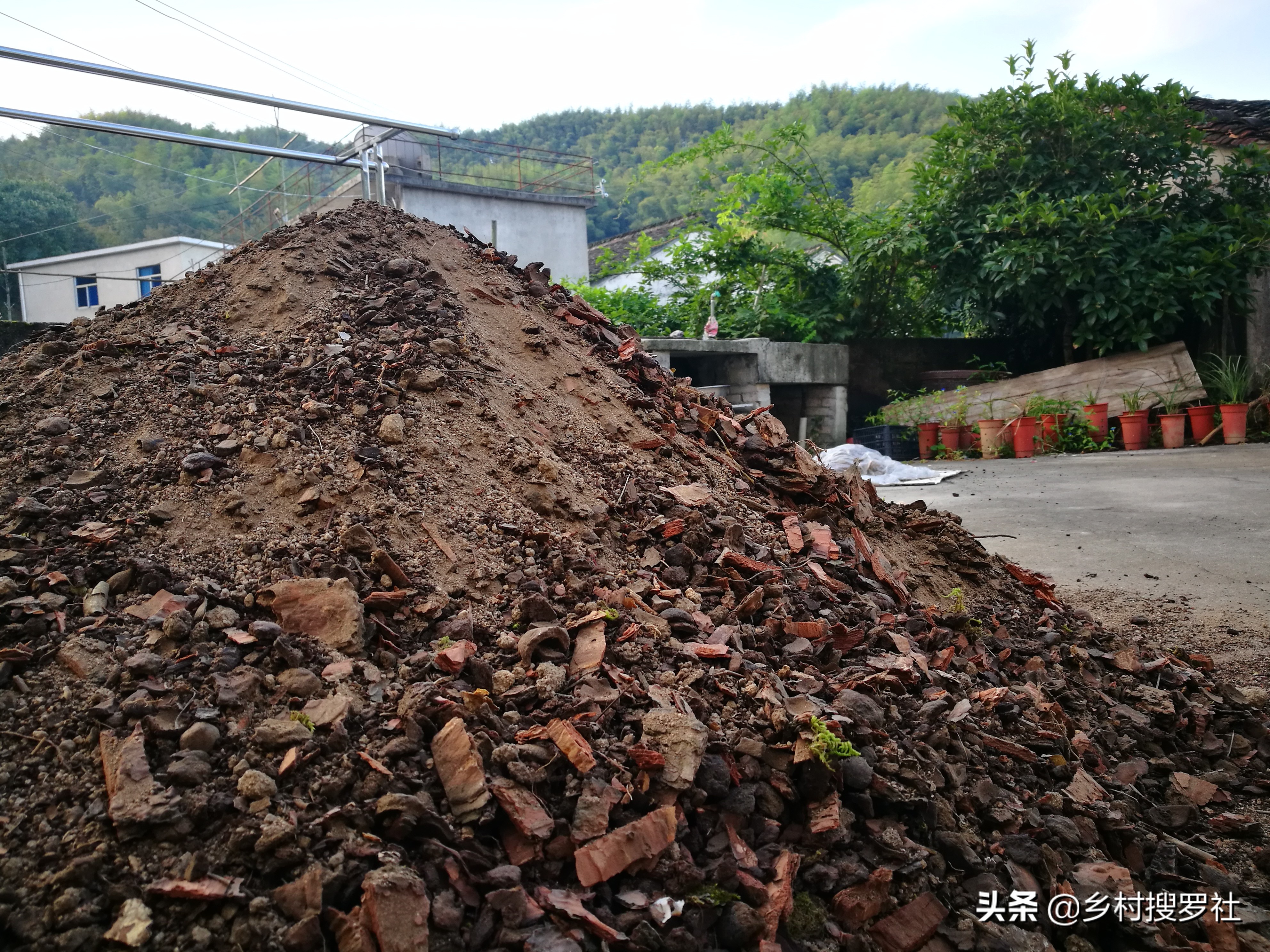 养兰花浇水避开这3点根壮花香,兰花耐旱能力强少浇水就能养得好