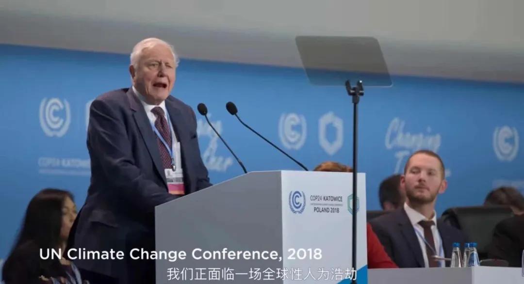 豆瓣2.5分神作,豆瓣9.5分的神作不该如此小众