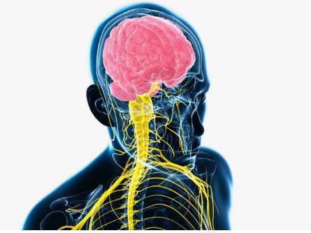 “孩子怕得发抖”！17岁男生成绩下降被逼补习，白癜风让母亲后悔