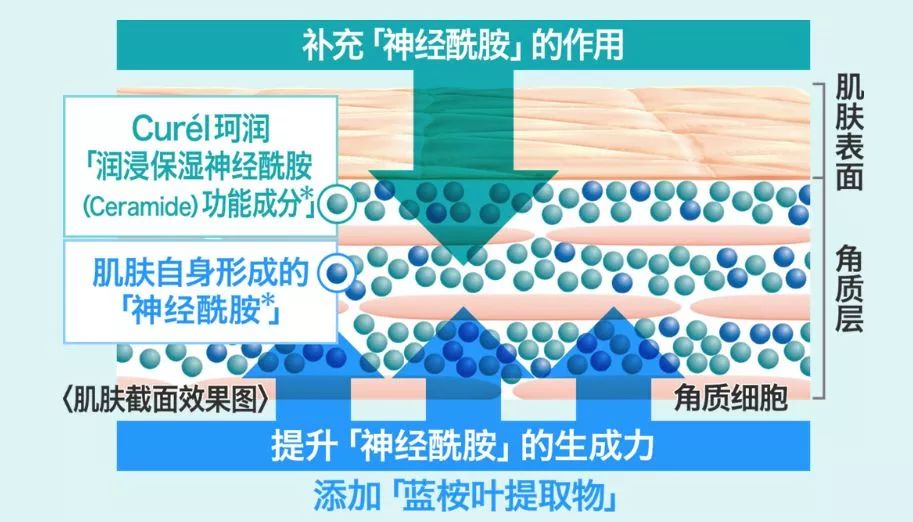 curel珂润润浸保湿乳霜,日本curel珂润保湿霜