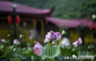 江西寻乌旅游景点,江西寻乌历史文化景区