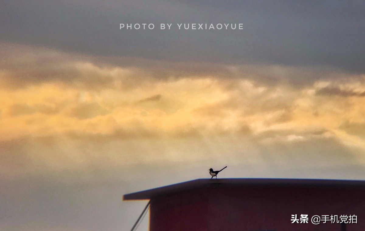 手机怎么拍朝霞最清晰,手机如何拍日出照片技巧