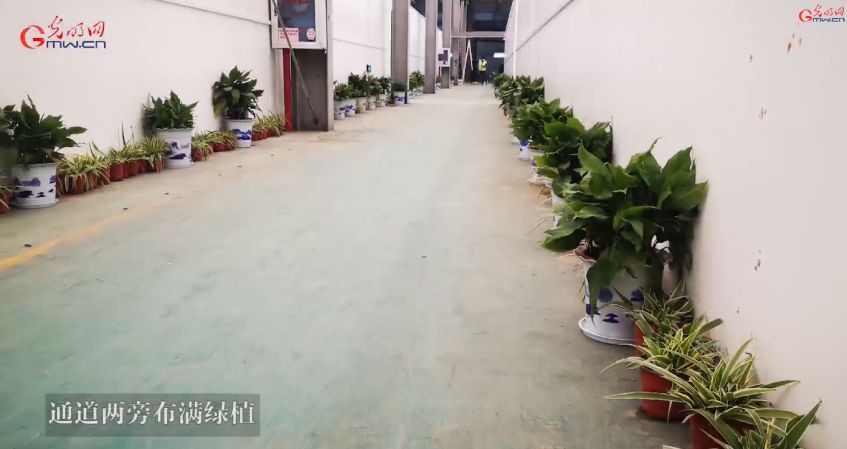 新冠肺炎天价治疗费曝光,中国新冠肺炎治疗费花费