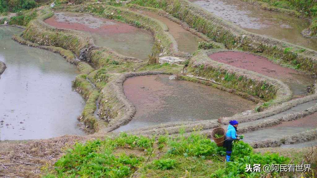 云南普者黑元阳坝美6天旅游攻略,云南建水普者黑旅游路线