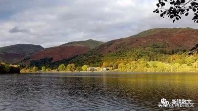 濞佸粔鍗庡吂鍗庢柉鏁呭眳,鍧庡竷閲屼簹