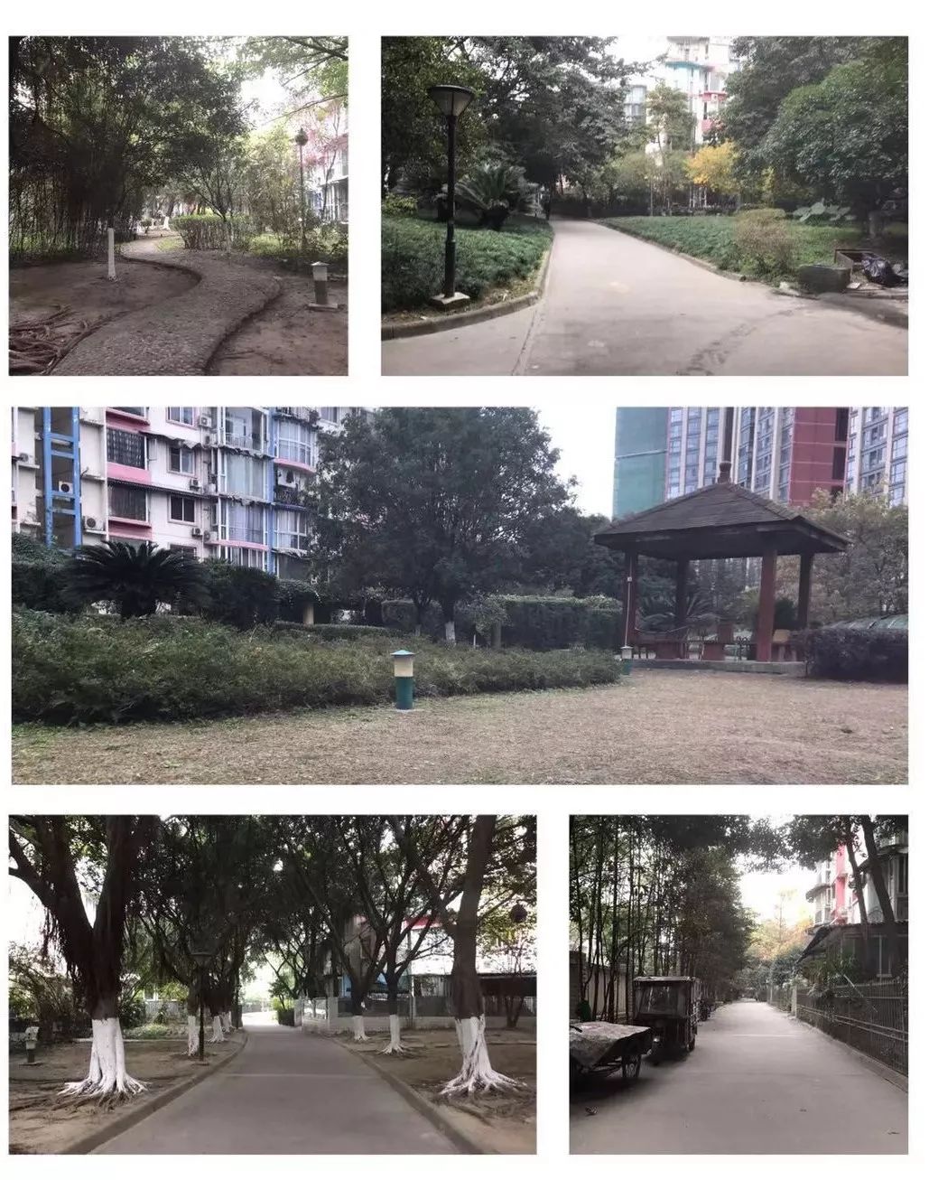 建设路附近学区房,热门双半径学区房