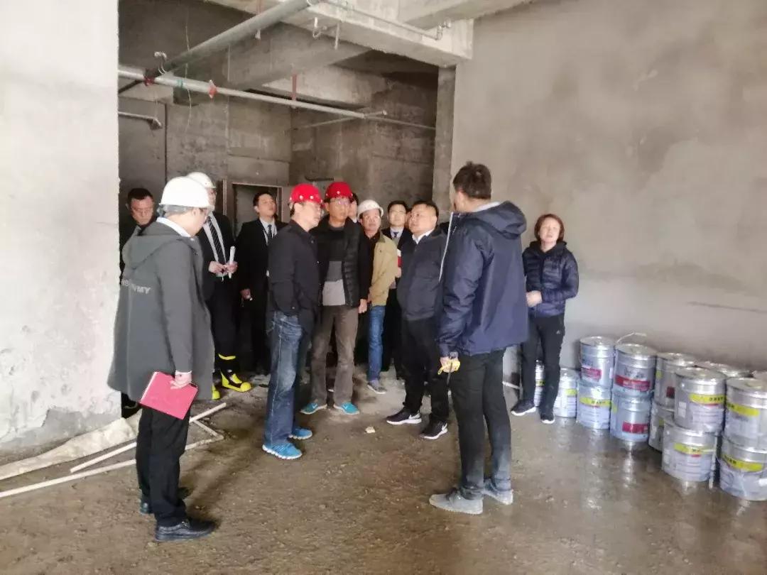 娣崡閲戝湴鑰佹澘绾尝,閲戝湴闆嗗洟绾尝