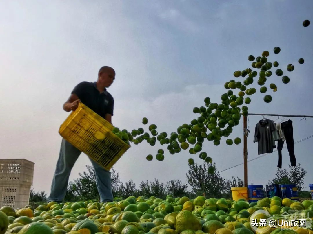 美图欣赏黄河全貌,航拍九曲黄河最美视频