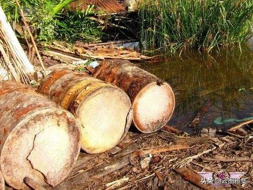 《我的马来往事》连载四：我的故乡——带你认识不一样的热带岛屿