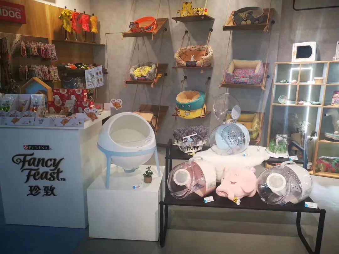 欢迎同行入内,这是一家为宠物店而开的宠物