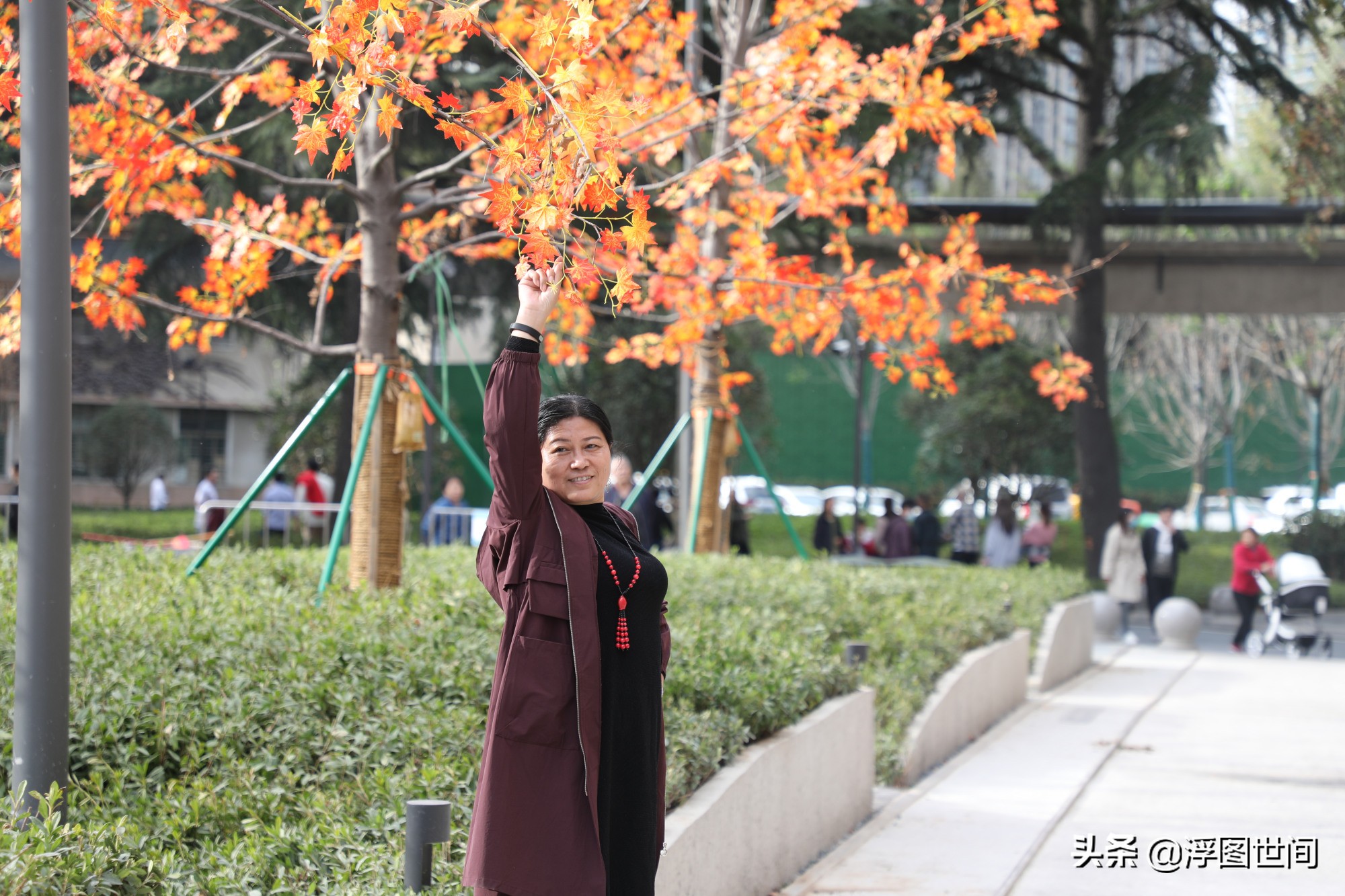 植物假树叶,人造树叶诞生
