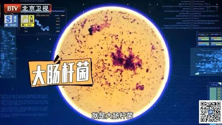 真正的抑菌产品,你买的消毒产品靠谱吗