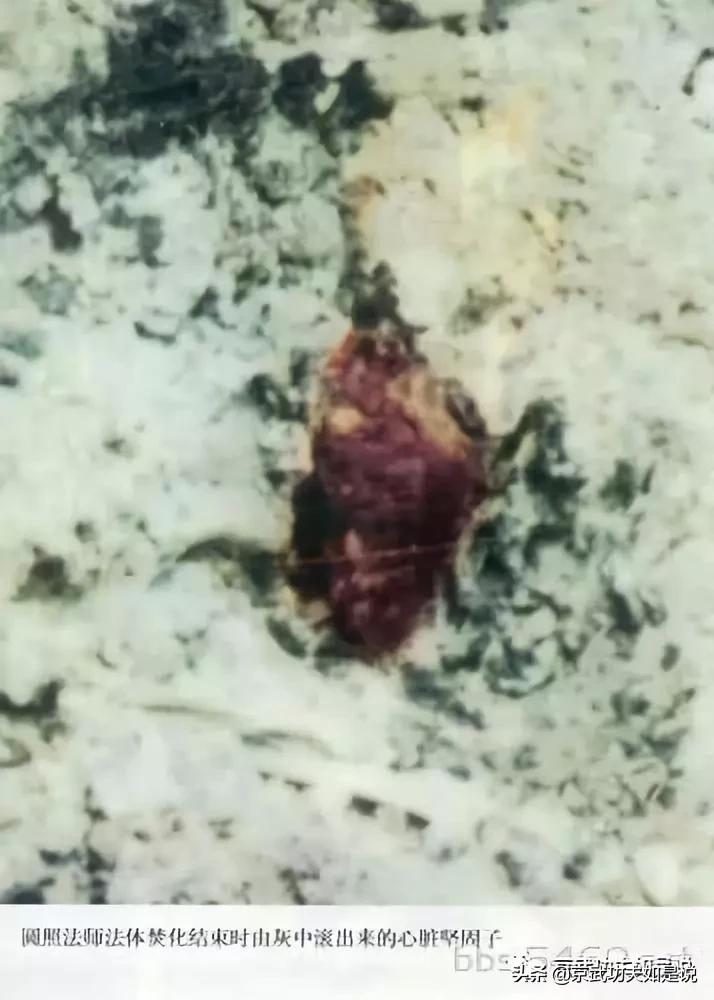 星云大师说没有舍利子是咋回事,为什么得道高僧圆寂没有病痛