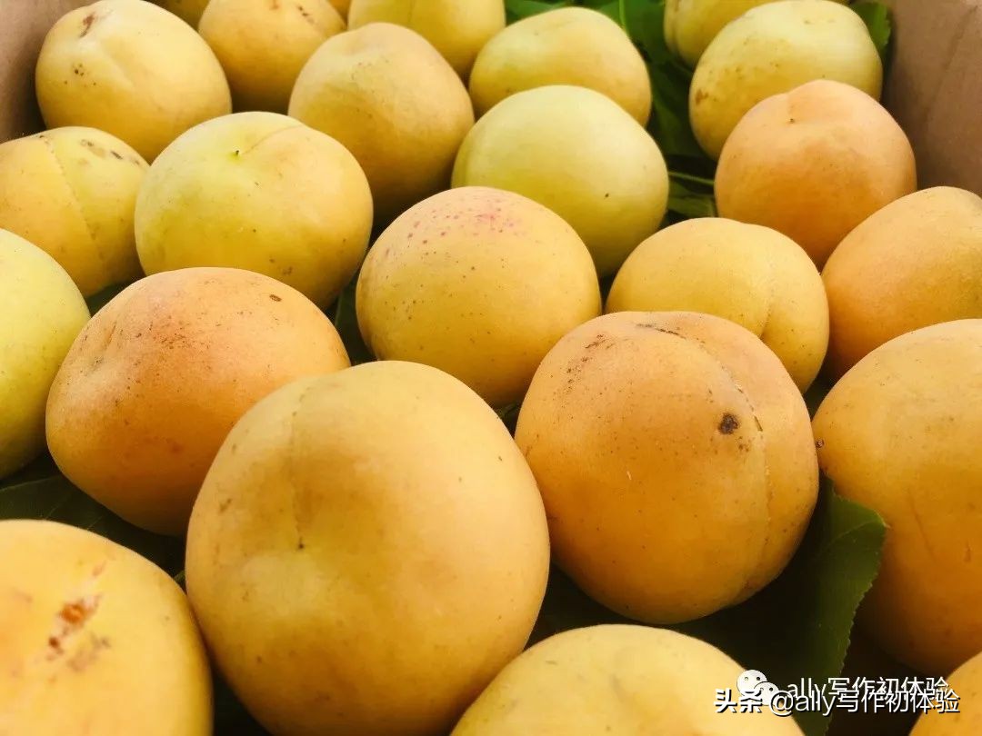 好物知时节的橱窗,好物知时节长春