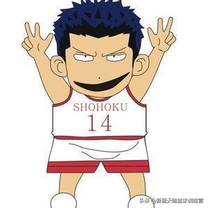 篮球的1至5号位是什么意思,篮球的1-5号位是什么意思