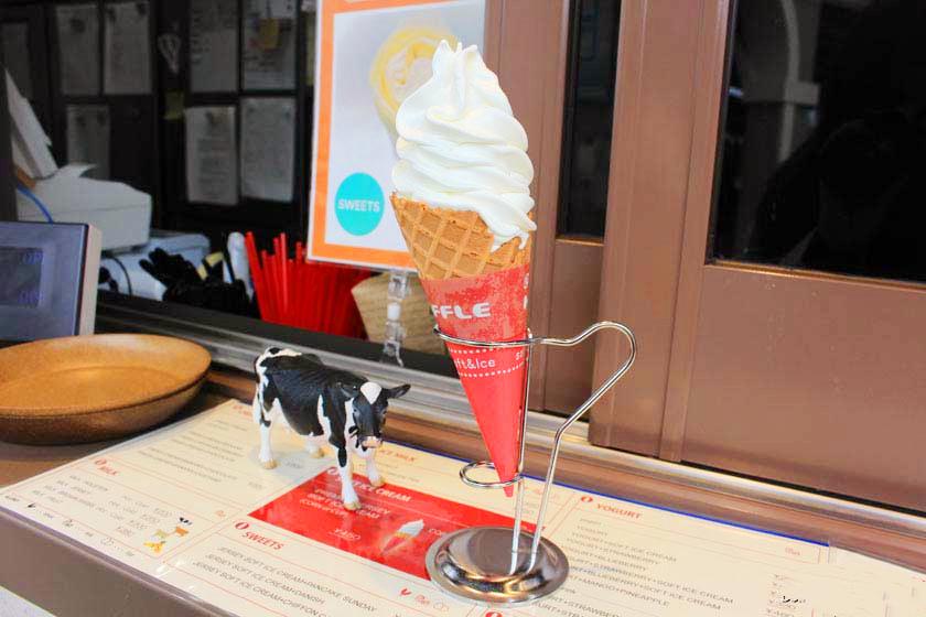 去富士山看樱花,日本富士山浪漫