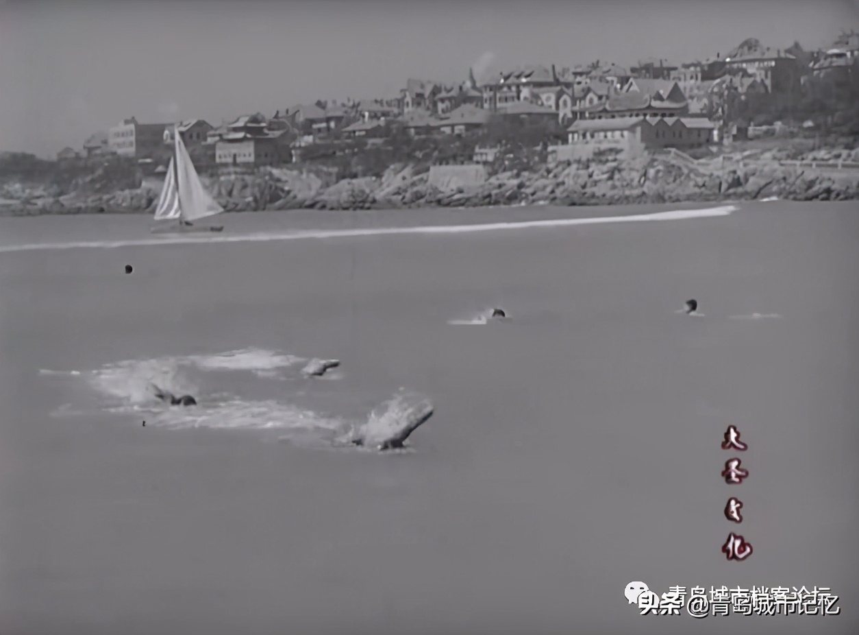 青岛小青岛取景的电影,曾经在青岛拍摄过的少儿题材电影