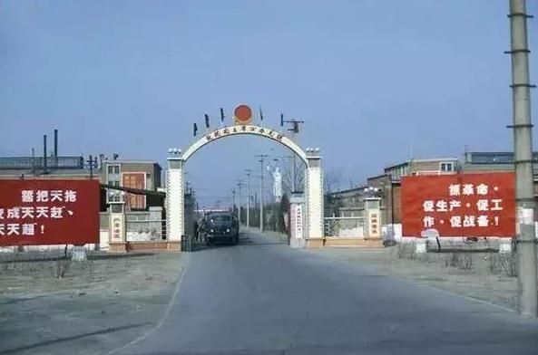 天津相声演员丁文元,天津小伙丁文元