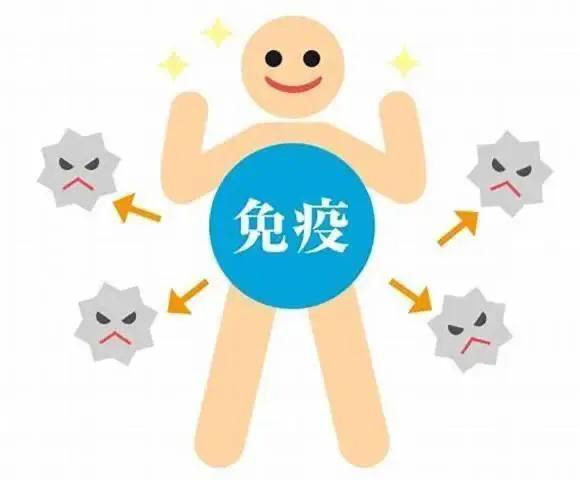 怀孕血压高吃什么水果,怀孕血压高可以顺产吗