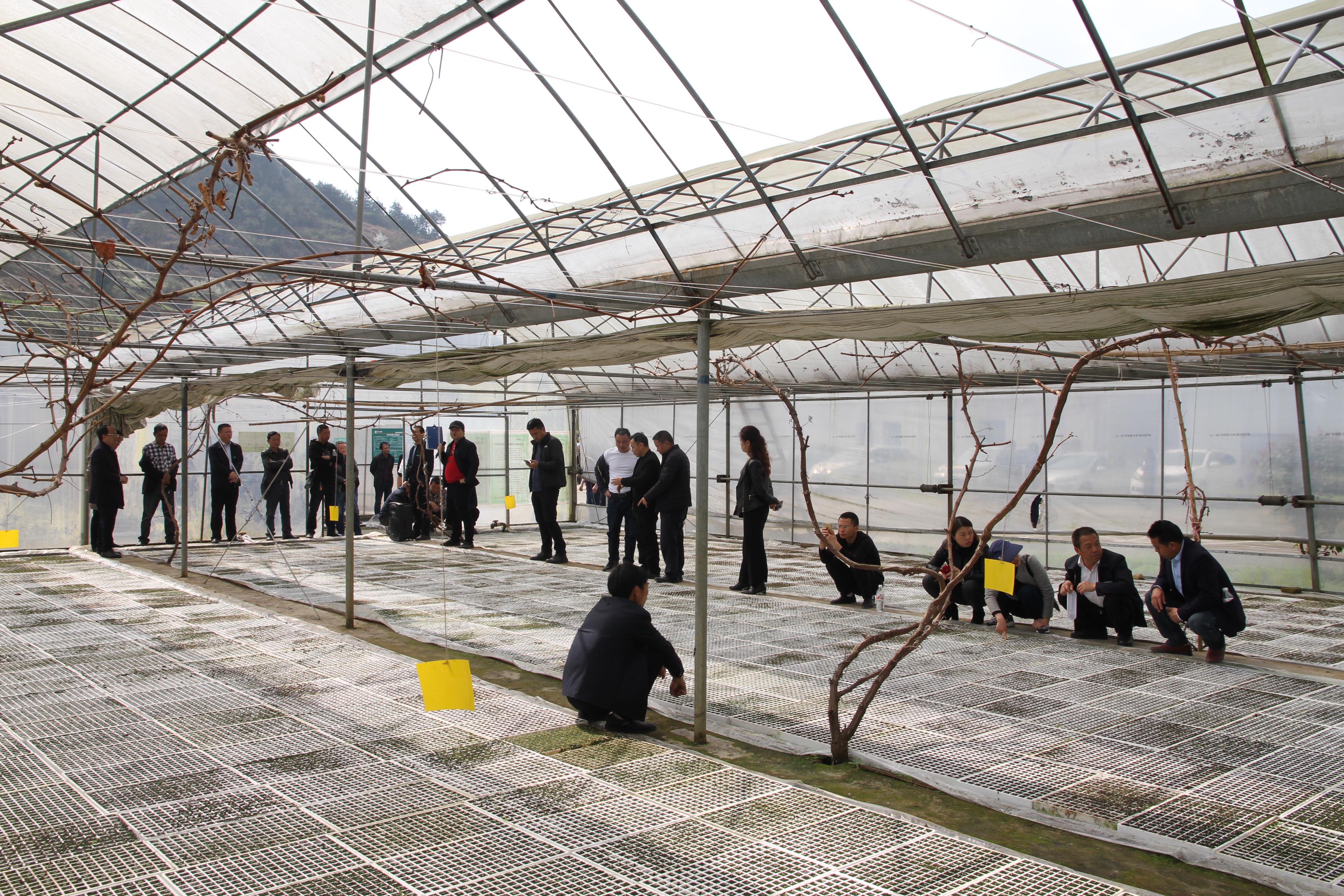 贵阳市开阳县*草烟**专卖局（分公司）奋进在高质量发展的新征程！