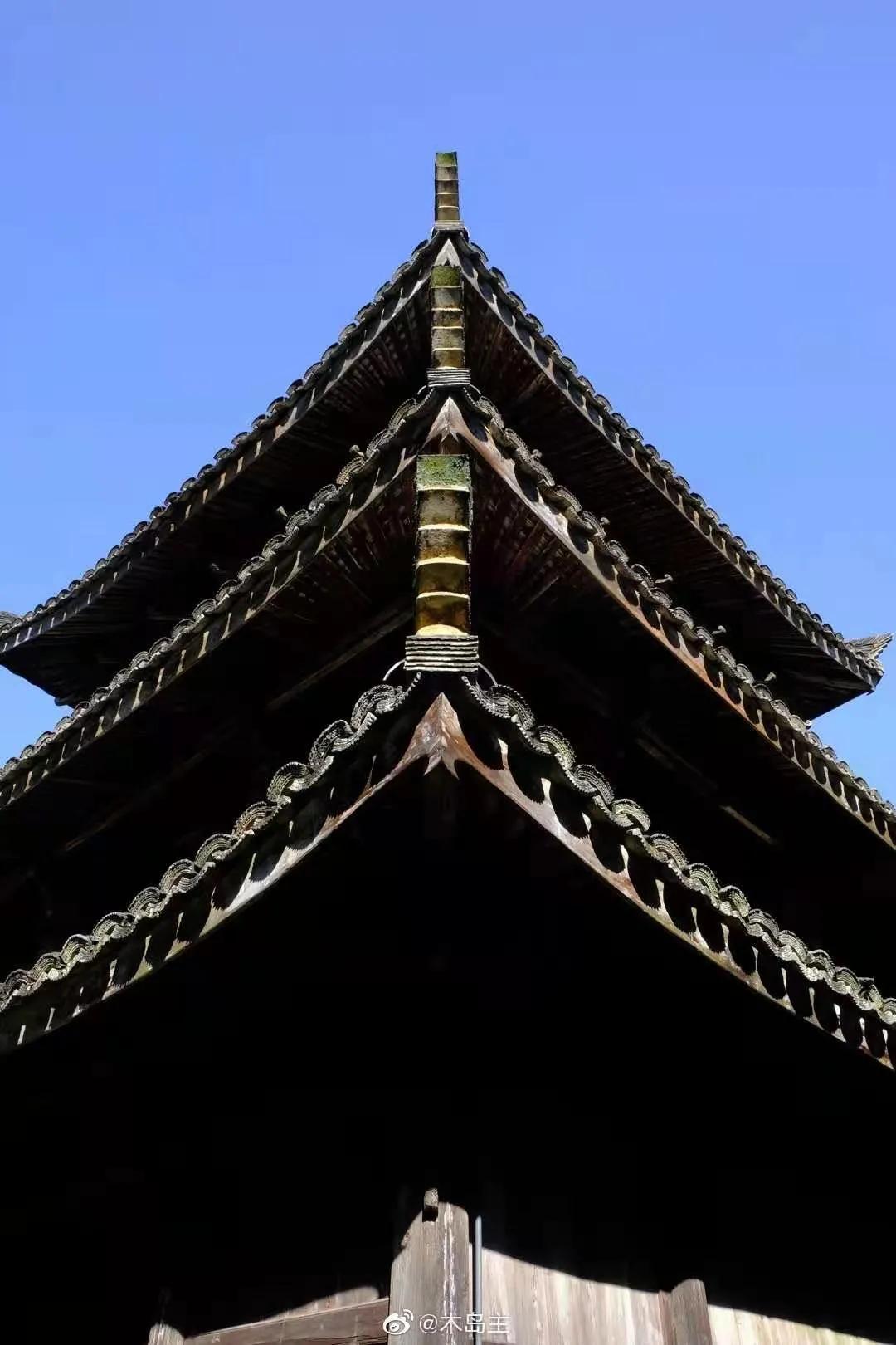 有着双重人生的小城青田，你对它的实力一无所知