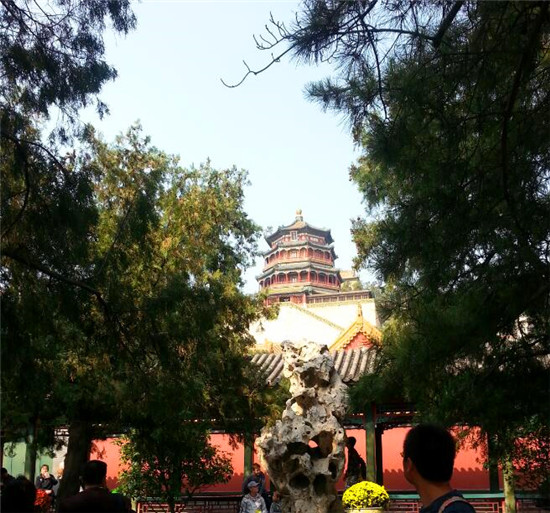 老年人旅游注重什么问题,老年人高品质旅游