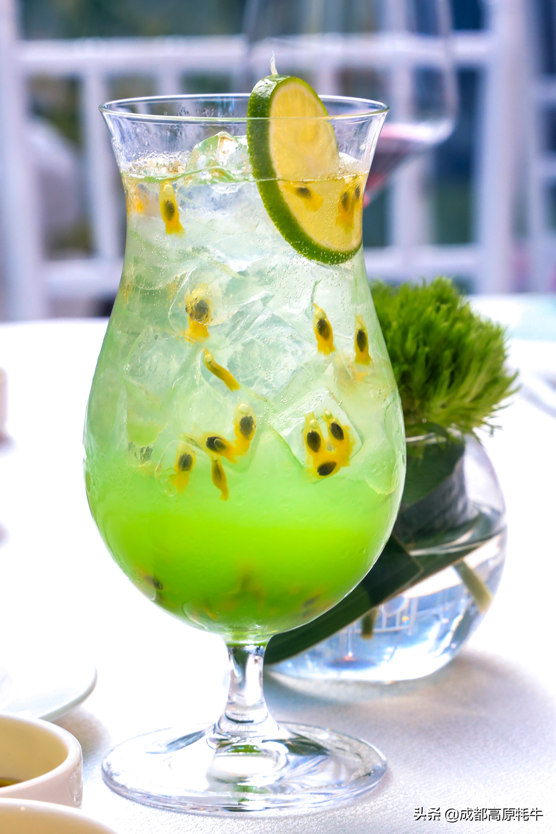 theoasistavern绿洲,theoasis清迈