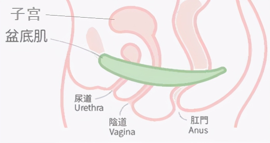 月经期到底要不要健身,月经期要不要坚持运动