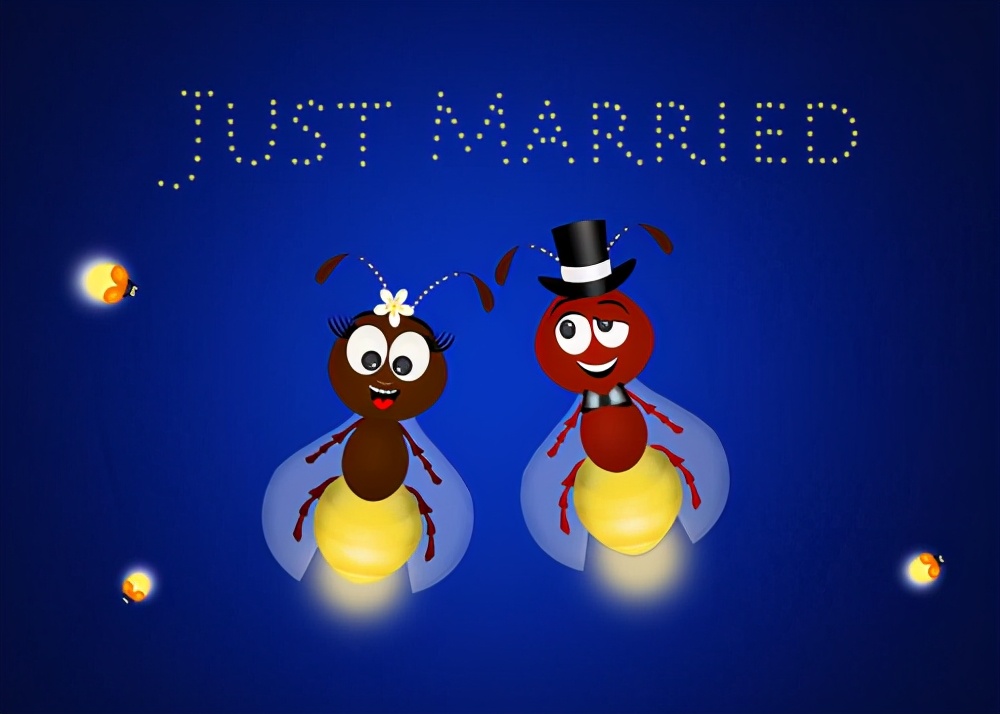 萤火虫的光寓意啥意思,萤火虫为什么会发光答案是什么