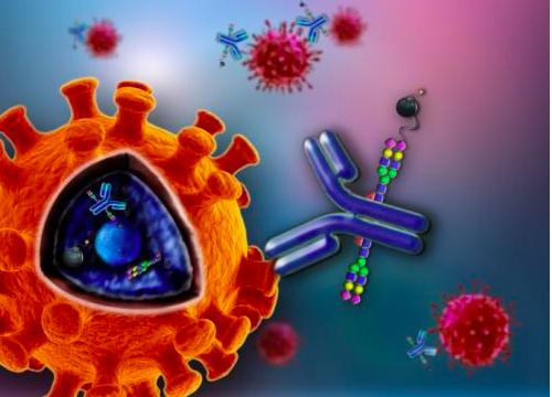 新冠病毒到现在地球上死了多少人 (人类大战新冠病毒的十个场面)