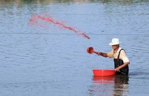 亚盐高处理方法,对虾亚盐超标根本解决办法