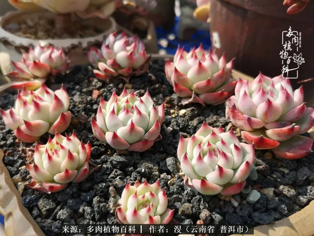 风过留痕讲的啥,风过留痕朗诵