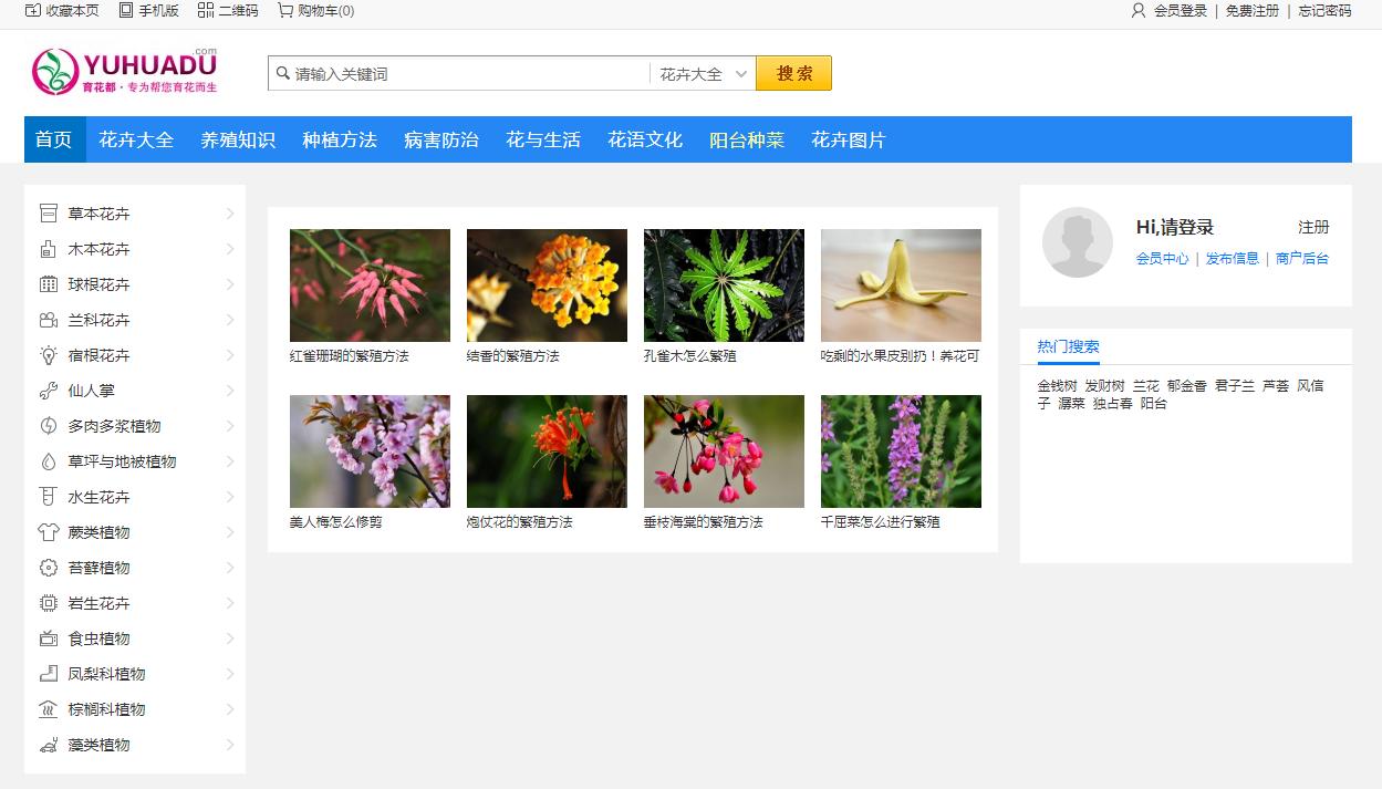 花儿为啥这样红,花儿为什么这样红科普小视频