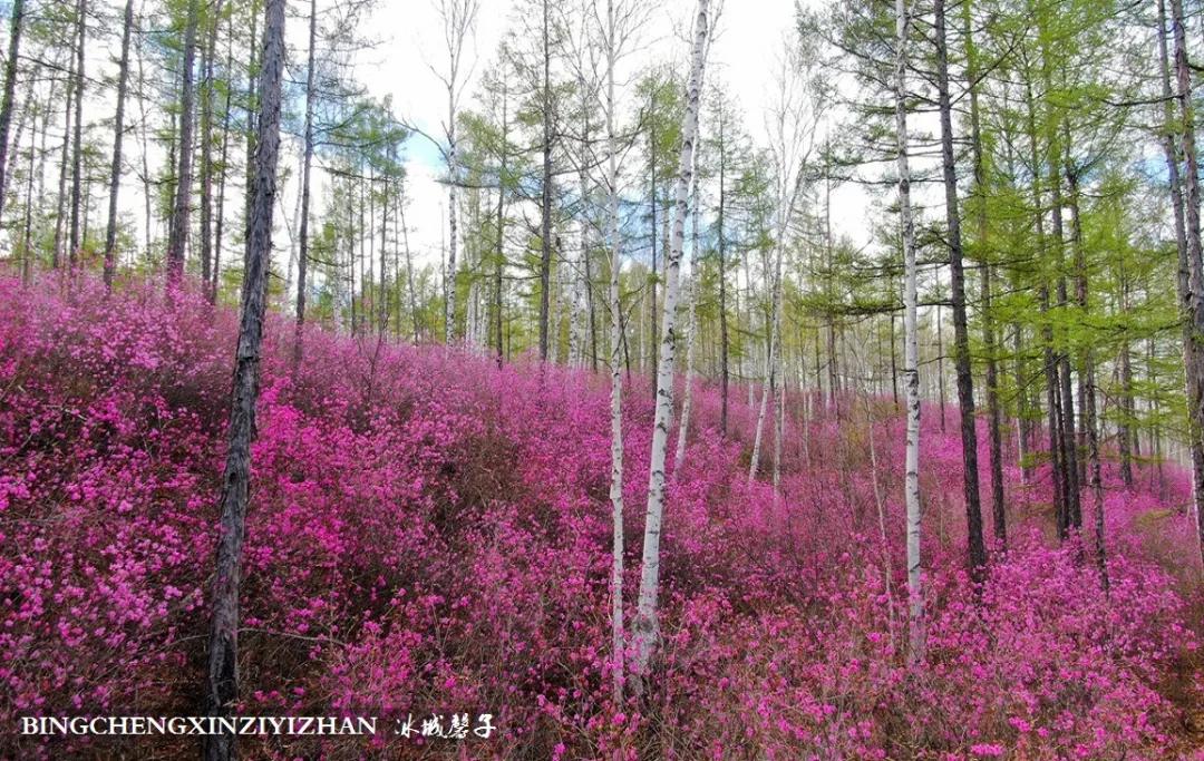 寻找中国最美的春季,探寻中国最美秘境