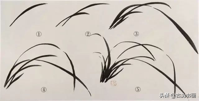 国画兰花技法讲解视频,徐湛国画兰花技法教学