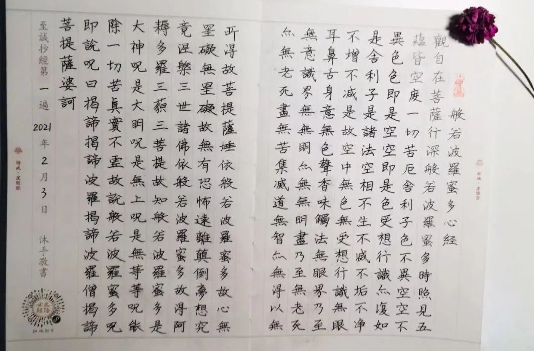 孩子不愿写作业如何正确引导,孩子不肯写作业逼着写有用吗