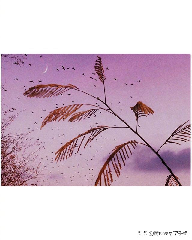 情感咨询栗子姐,栗子姐情感问答专题