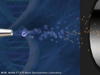 动图解析几何题,动图详解transformer