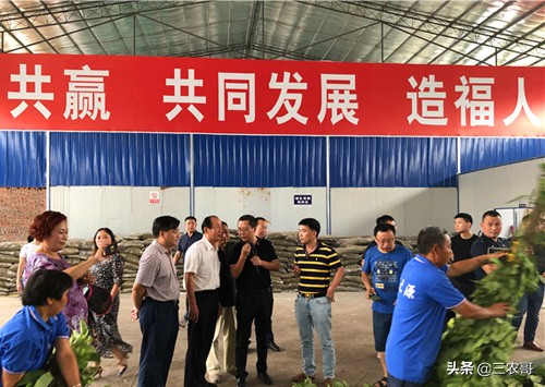 在农村真正赚大钱的项目有哪些,农村普通项目也能赚大钱