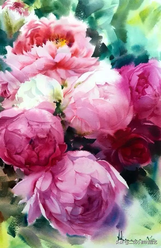 100种花卉绘画,100多张花卉线描手稿素材赶快收藏