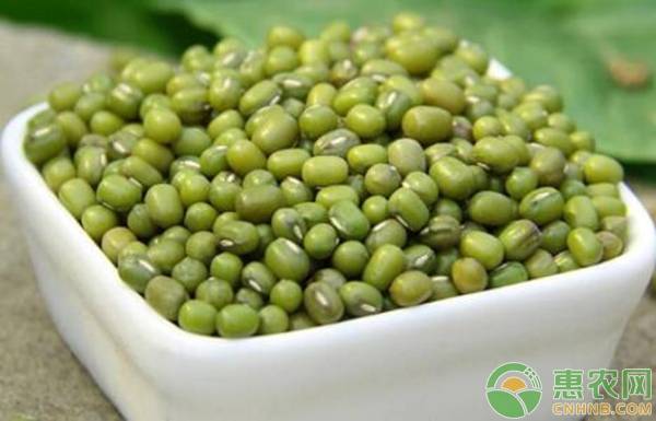 五谷米是哪五种米,五谷米的营养价值及功效